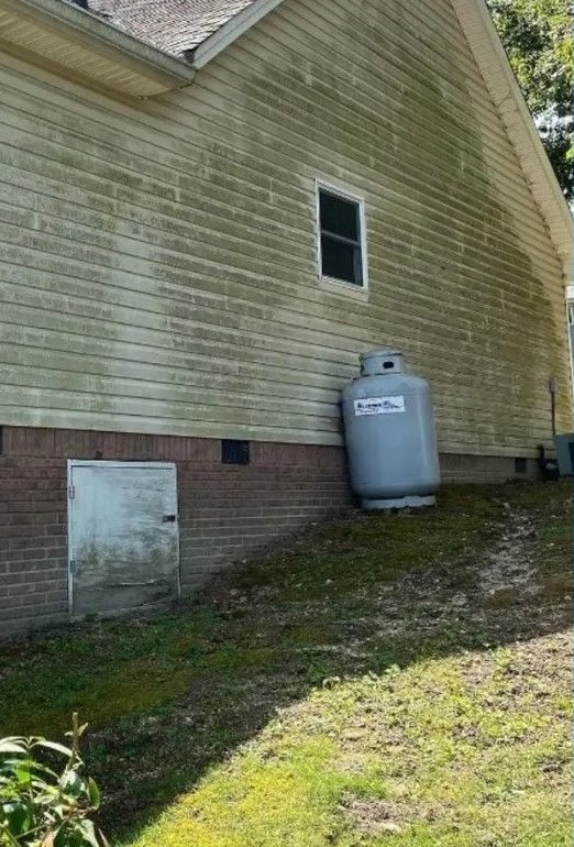Vinyl siding covered in green algae before washing